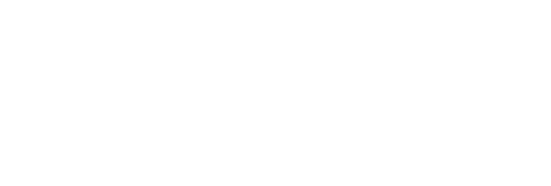 VATSIM Official Partner